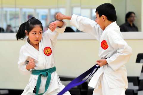 Ippon Karate Academy Radcliffe photo